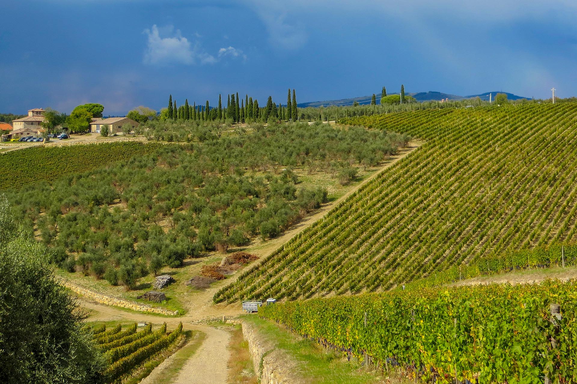 RADDA IN CHIANTI: CASALI, VILLE E AZIENDE VITIVINICOLE IN VENDITA A RADDA, TOSCANA CHIANTI CLASSICO