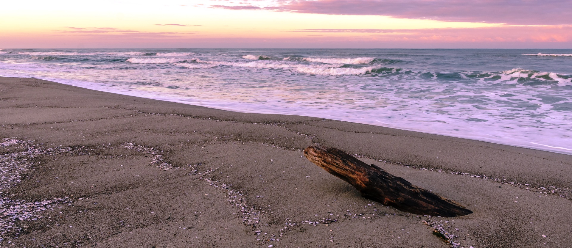 ROSIGNANO MARITTIMO: VILLE DI LUSSO, APPARTAMENTI VISTA MARE IN VENDITA A ROSIGNANO MARITTIMO, LIVORNO, TOSCANA