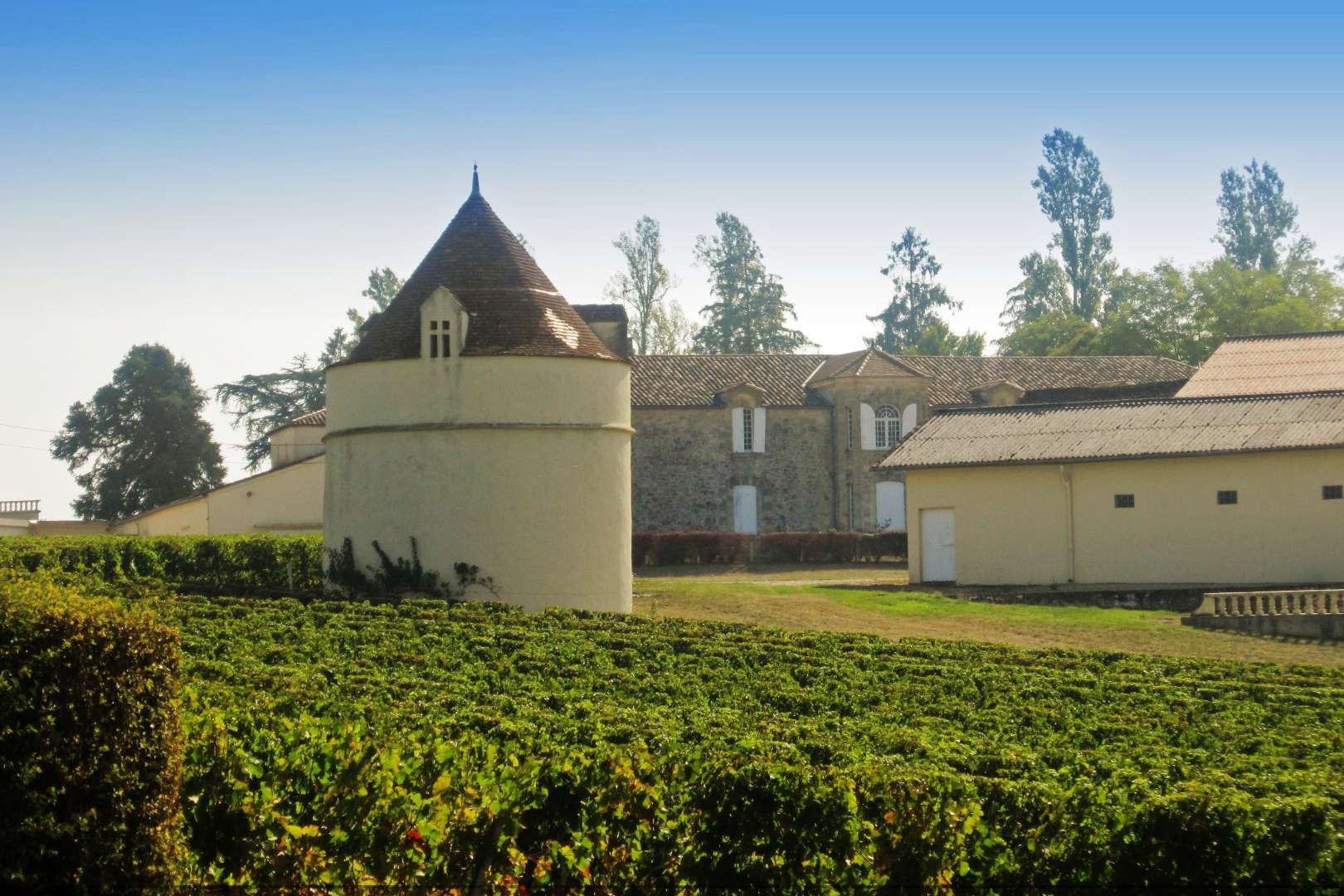 TENUTA VITIVINICOLA IN VENDITA A BORDEAUX, CANTINA VIGNETO IN VENDITA SAINT EMILION, FRANCIA