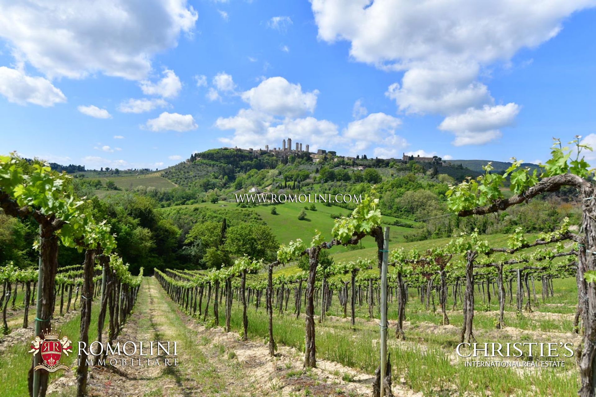 AZIENDA AGRICOLA IN VENDITA TOSCANA, AZIENDE AGRICOLE VITIVINICOLE IN TOSCANA, AZIENDA AGRICOLA VINICOLA BIOLOGICA
