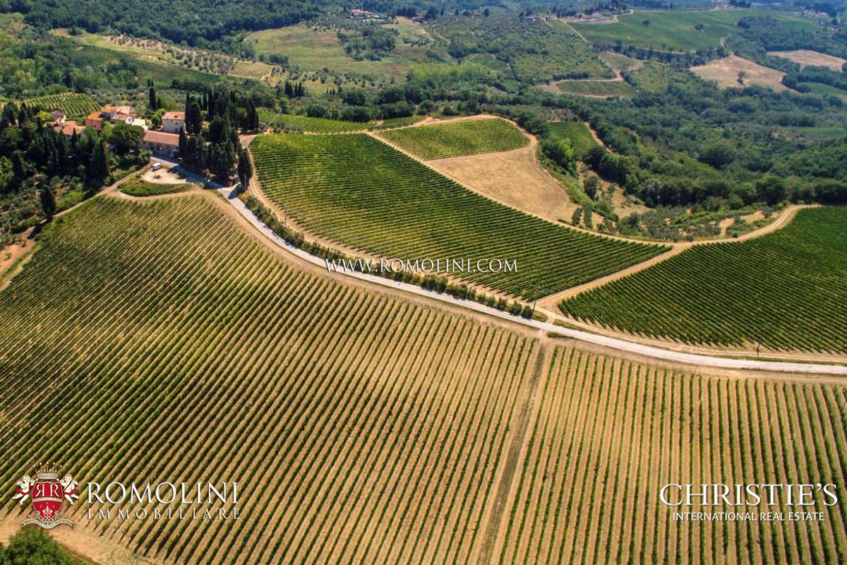 AZIENDE AGRICOLE VITIVINICOLE E TENUTE VINICOLE IN VENDITA CHIANTI CLASSICO