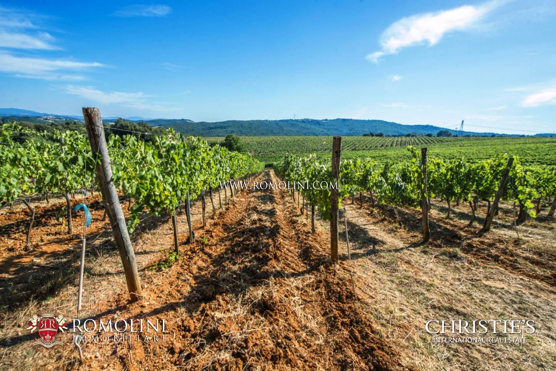 TENUTA VITIVINICOLA IN VENDITA BRUNELLO DI MONTALCINO, CANTINA VIGNETI  AZIENDA AGRICOLA VINICOLA BRUNELLO MONTALCINO