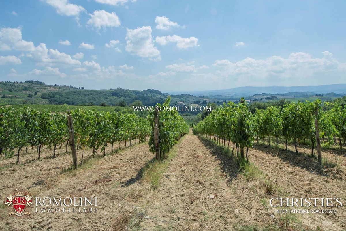 AZIENDE AGRICOLE VITIVINICOLE E TENUTE VINICOLE IN VENDITA CHIANTI CLASSICO