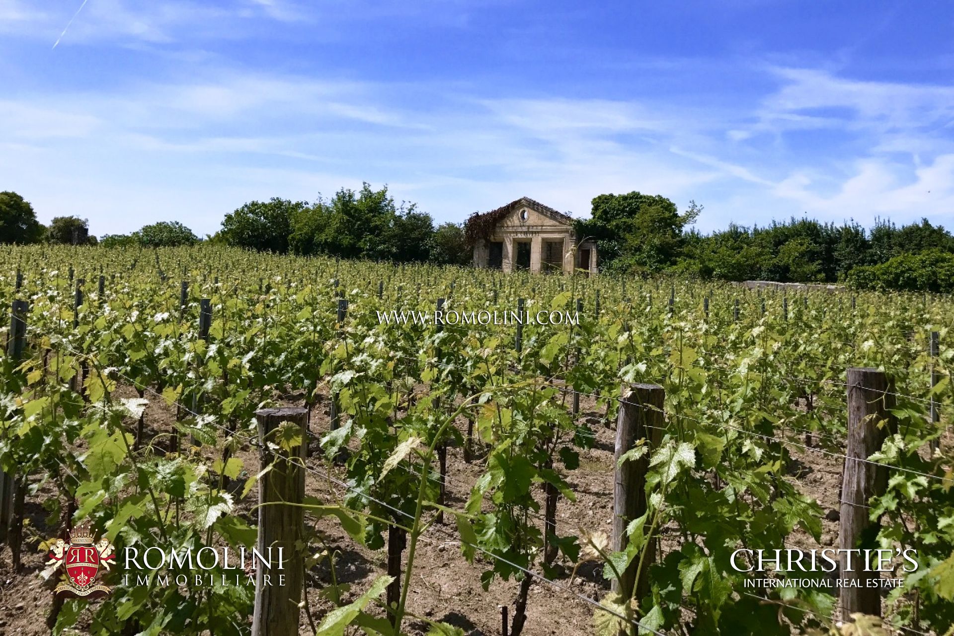 TENUTA VITIVINICOLA IN VENDITA A BORDEAUX, CANTINA VIGNETO IN VENDITA SAINT EMILION, FRANCIA