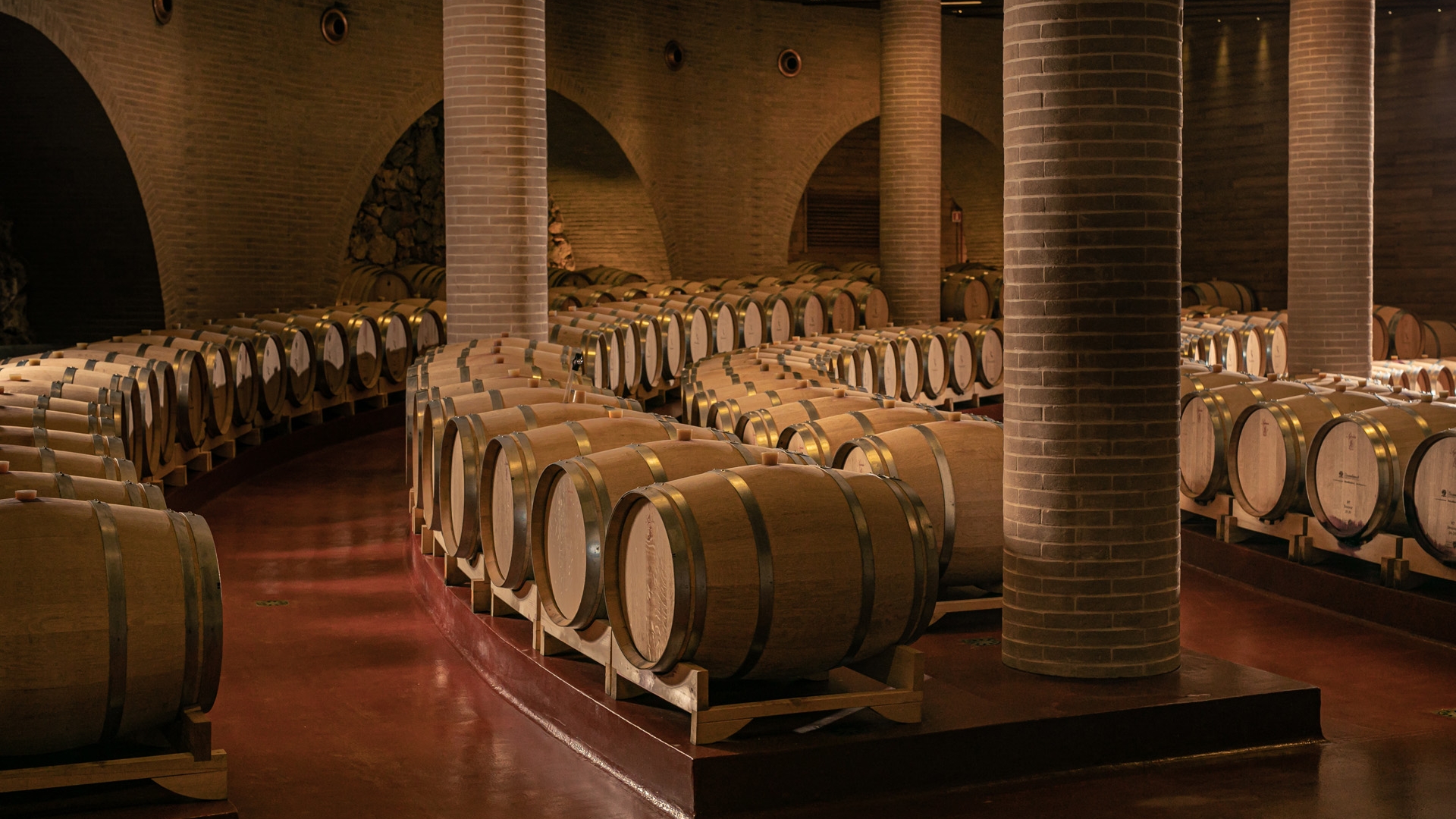 AZIENDA AGRICOLA VINICOLA IN VENDITA NELLE MARCHE