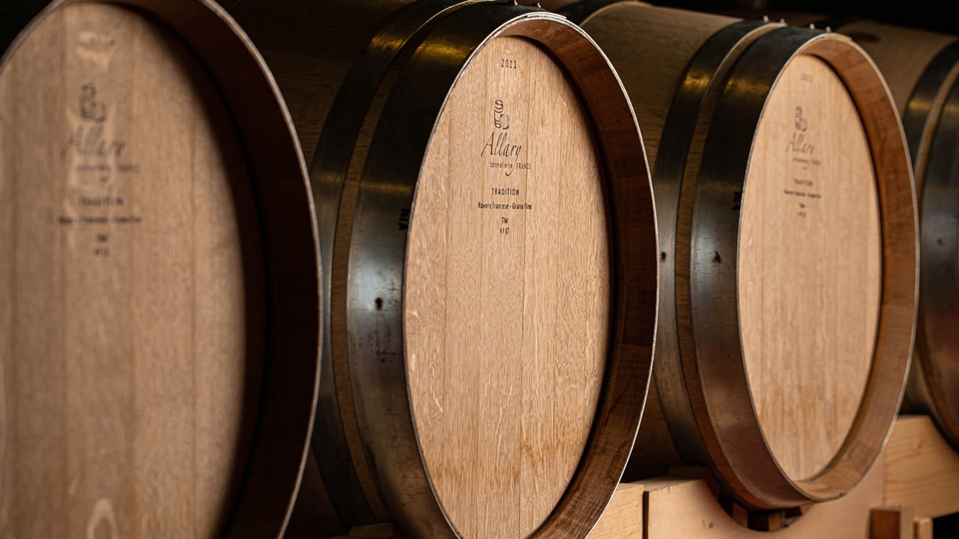 AZIENDA AGRICOLA VINICOLA IN VENDITA NELLE MARCHE