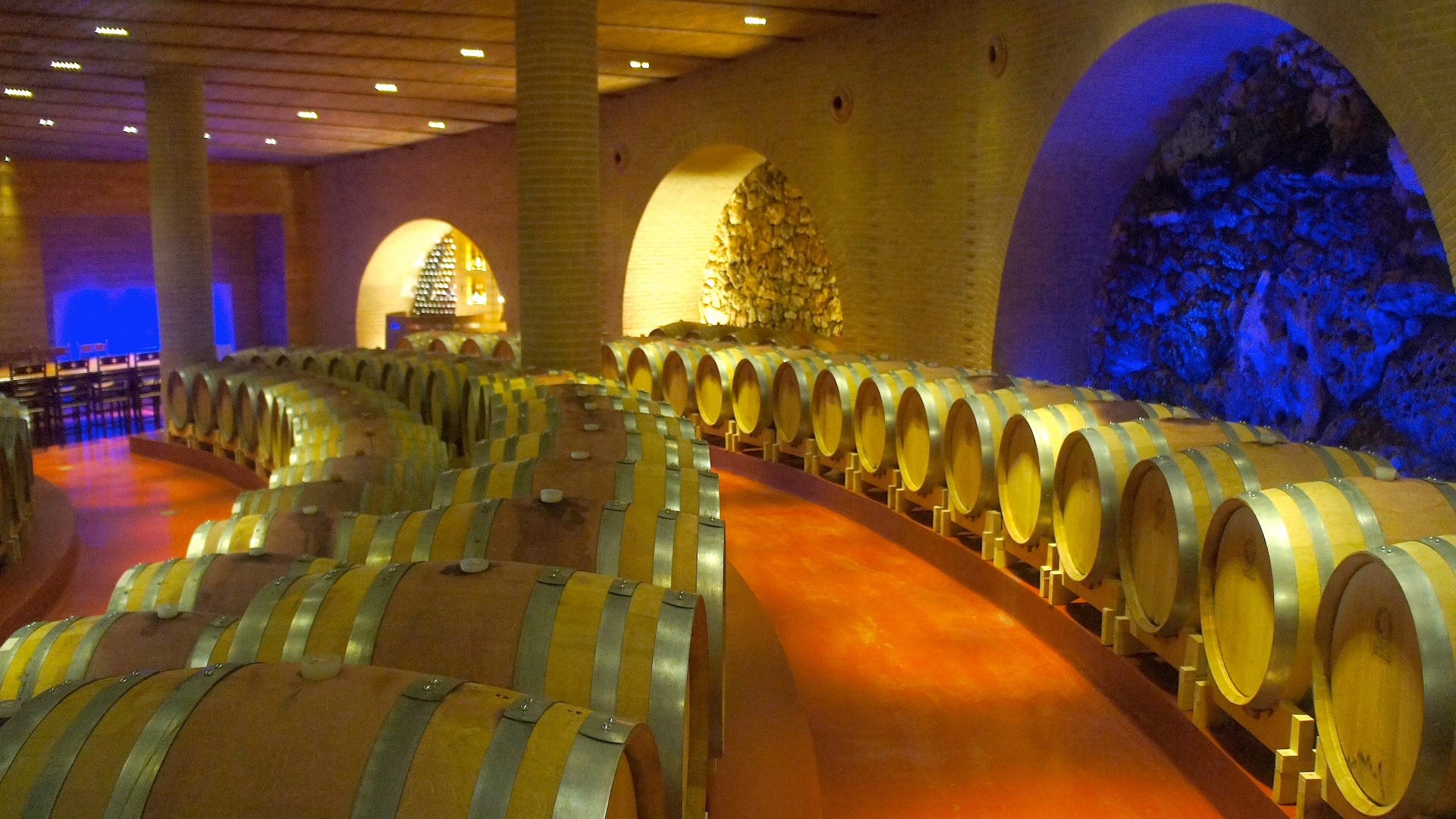 AZIENDA AGRICOLA VINICOLA IN VENDITA NELLE MARCHE