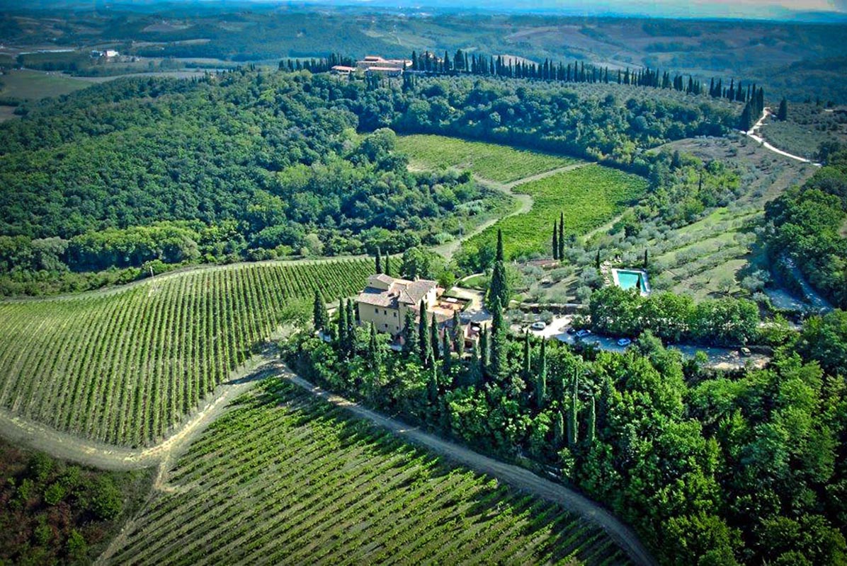 PICCOLA AZIENDA VITIVINICOLA IN VENDITA, CANTINA CON VIGNETI IN VENDITA