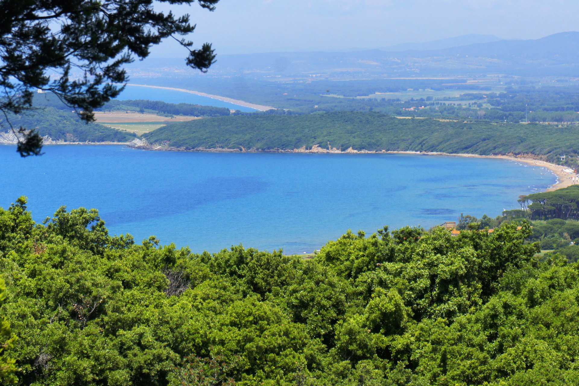 GROSSETO, Toscana: Aziende Agricole Vitivinicole, Casali e Ville di lusso al mare in vendita in Maremma