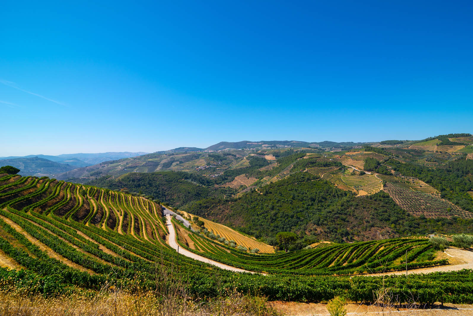 IMMOBILI DI LUSSO VILA REAL, VILLE DI LUSSO VENDITA, VIGNETI CANTINE, PORTOGALLO