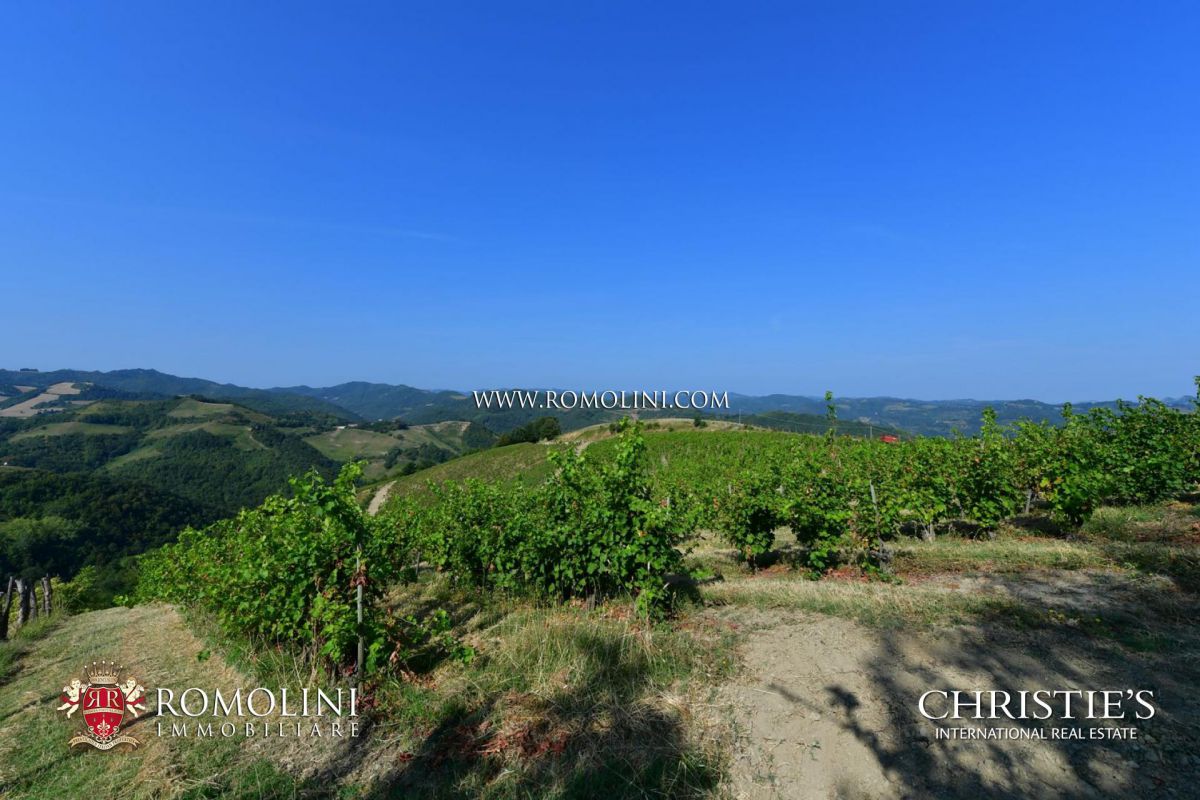 VILLE IN EMILIA ROMAGNA - CASTELLI AZIENDE VITIVINICOLE E APPARTAMENTI DI LUSSO IN VENDITA, Emilia Romagna