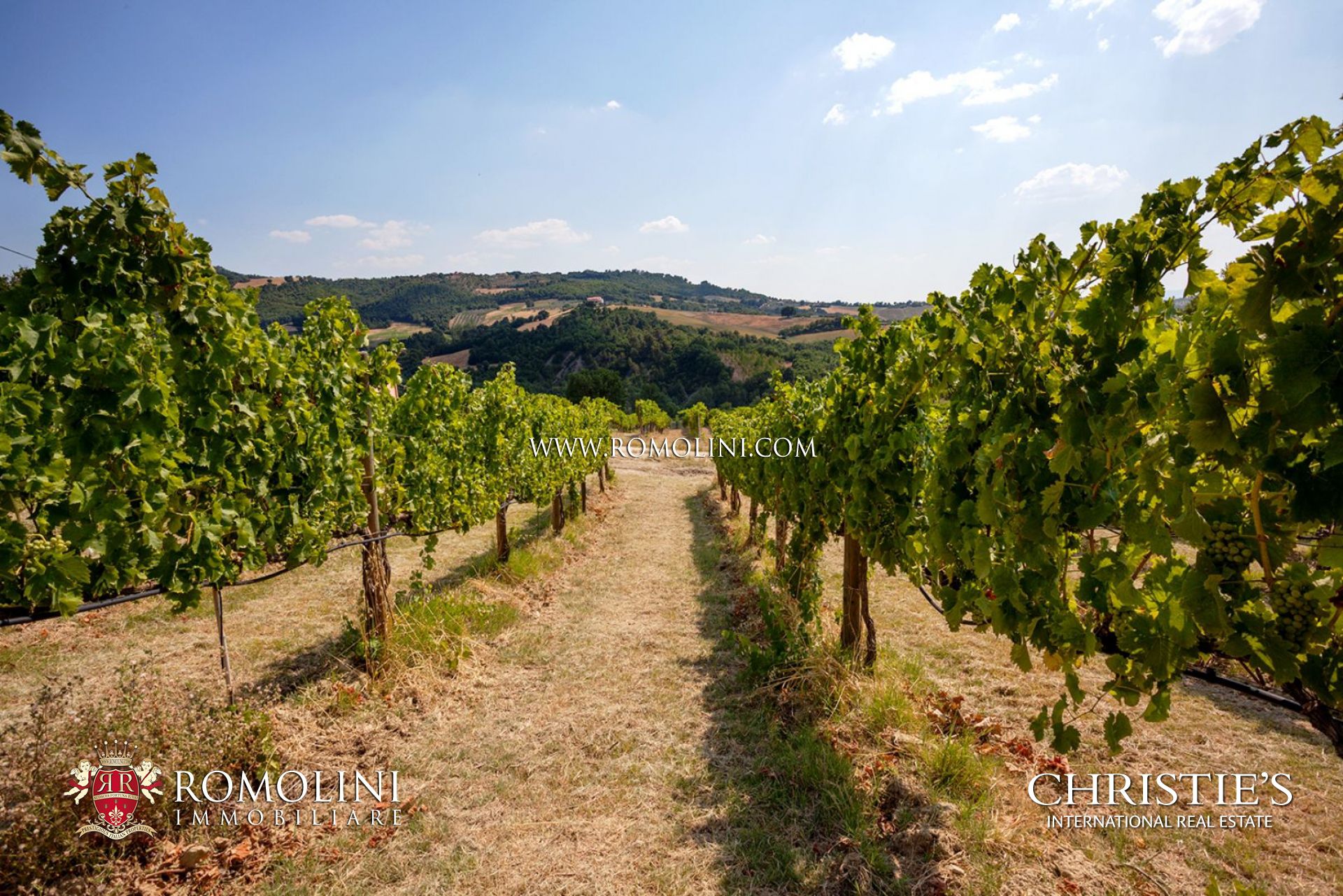 UMBRIA: CASALE IN VENDITA IN UMBRIA, RUSTICO, VILLA DI LUSSO IN UMBRIA, IMMOBILI DI PRESTIGIO IN UMBRIA,VILLE, CASE DI LUSSO UMBRIA, PERUGIA