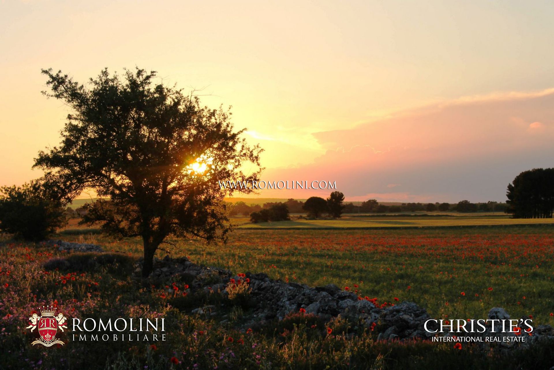 PUGLIA - VENDITA VILLE DI LUSSO, CASE AL MARE E APPARTAMENTI