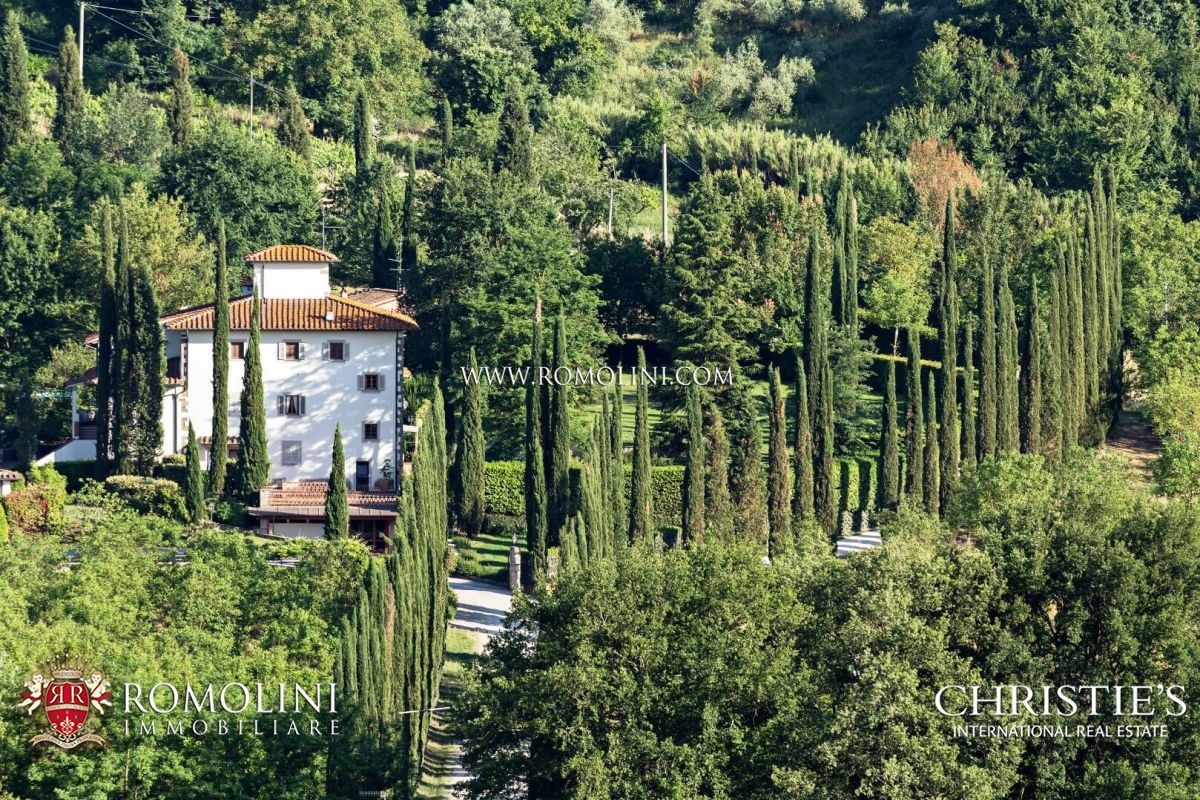 TENUTA IN VENDITA - Tenuta con vigneto e uliveto in vendita
