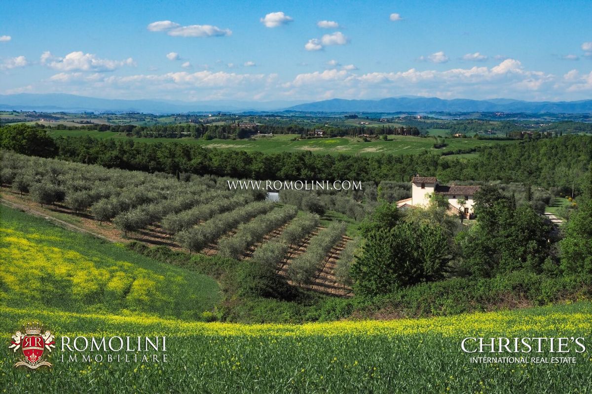 TENUTA IN VENDITA - Tenuta con vigneto e uliveto in vendita