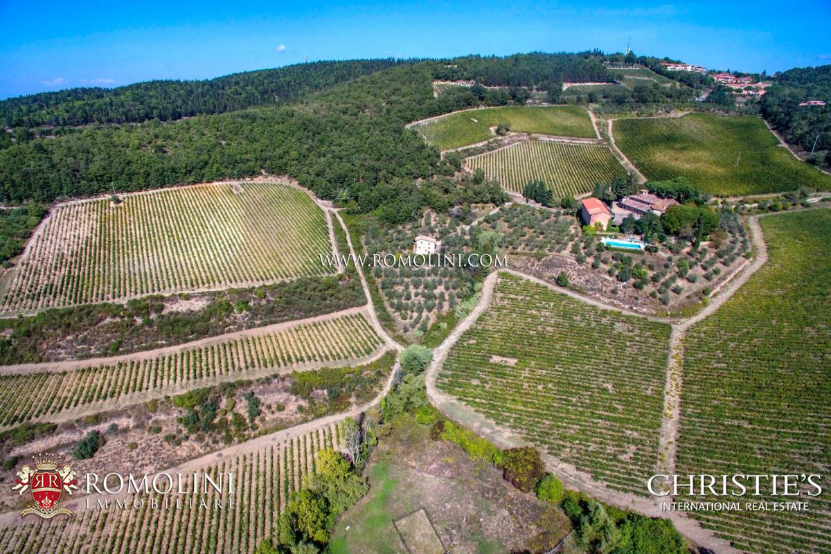 TENUTA IN VENDITA - Tenuta con vigneto e uliveto in vendita