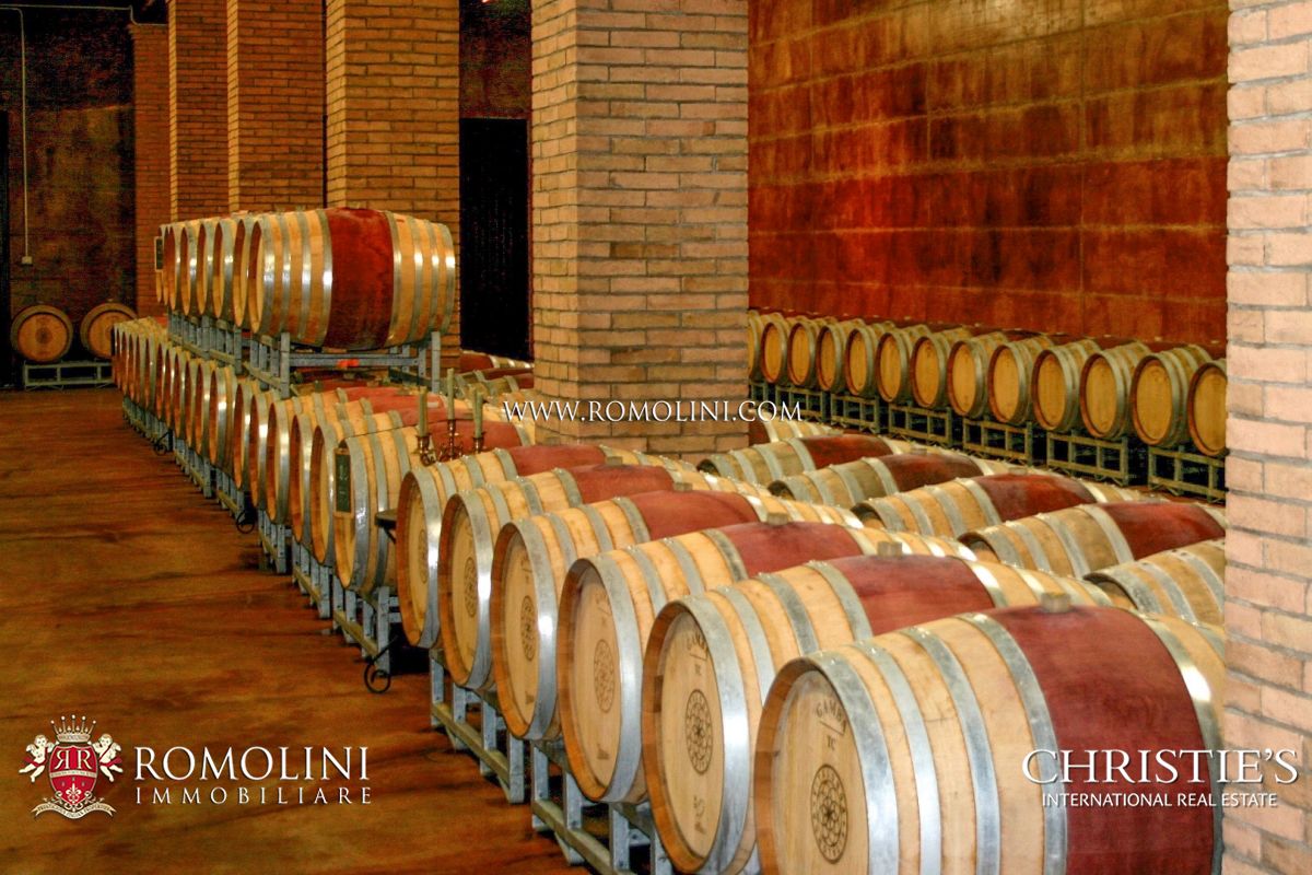 AZIENDA AGRICOLA VITIVINICOLA IN VENDITA, TENUTA VIGNETI IN VENDITA TOSCANA