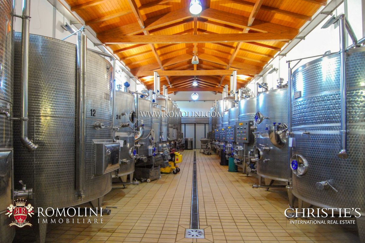 AZIENDA AGRICOLA VITIVINICOLA IN VENDITA, TENUTA VIGNETI IN VENDITA TOSCANA