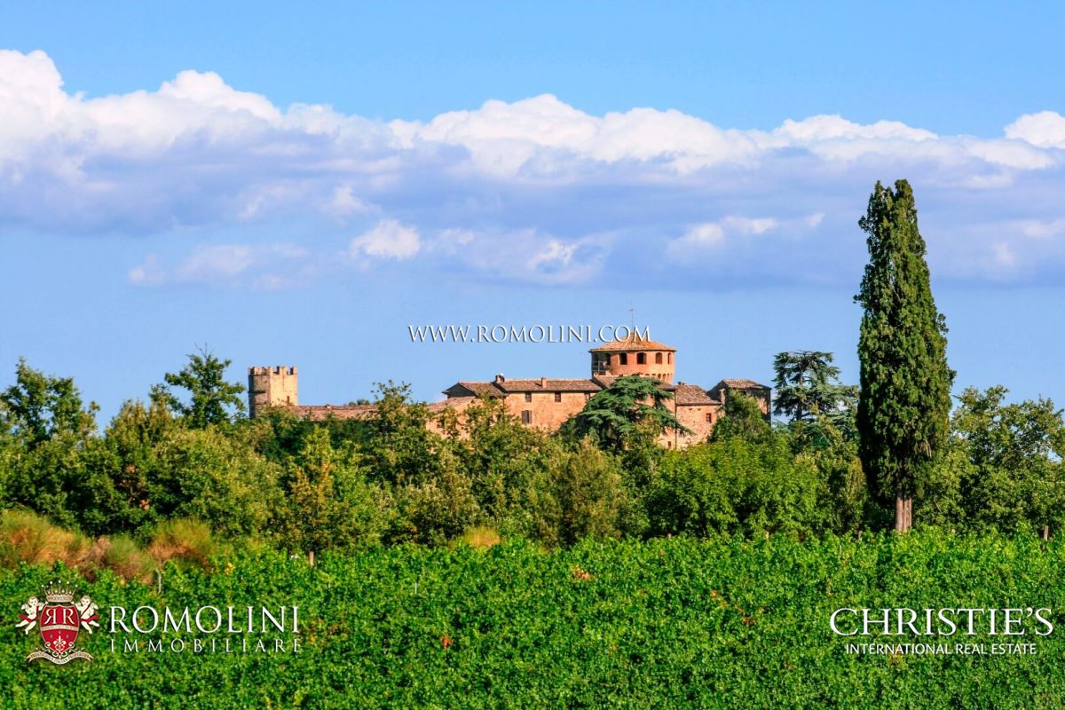 VIGNETO IN VENDITA TOSCANA - CHIANTI CLASSICO, MONTALCINO, BOLGHERI
