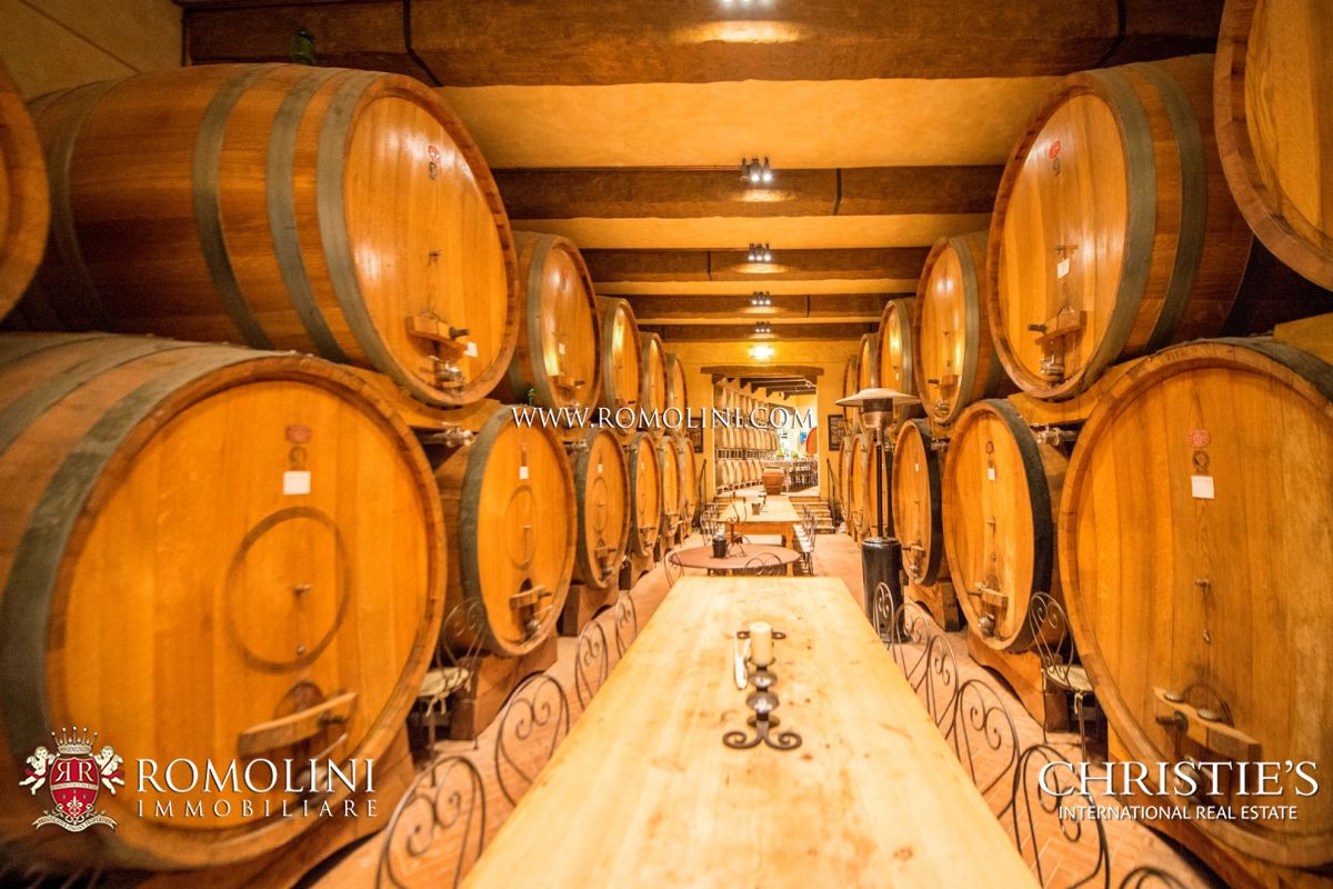 AZIENDA AGRICOLA VITIVINICOLA IN VENDITA, TENUTA VIGNETI IN VENDITA TOSCANA