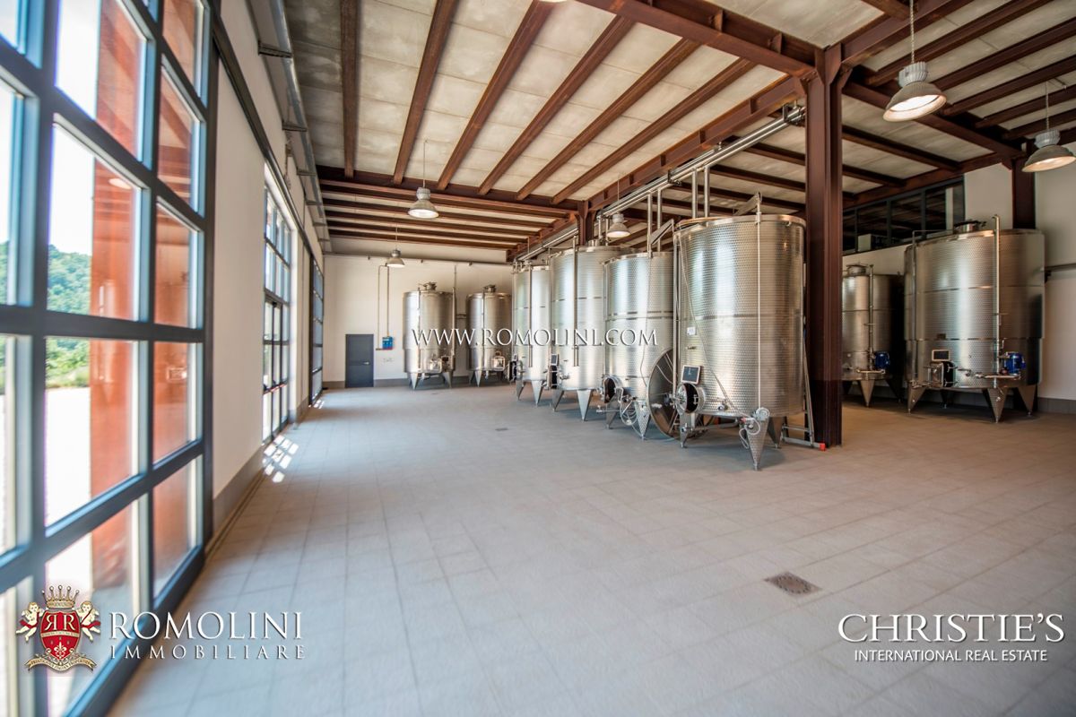 AZIENDA AGRICOLA VITIVINICOLA IN VENDITA, TENUTA VIGNETI IN VENDITA TOSCANA