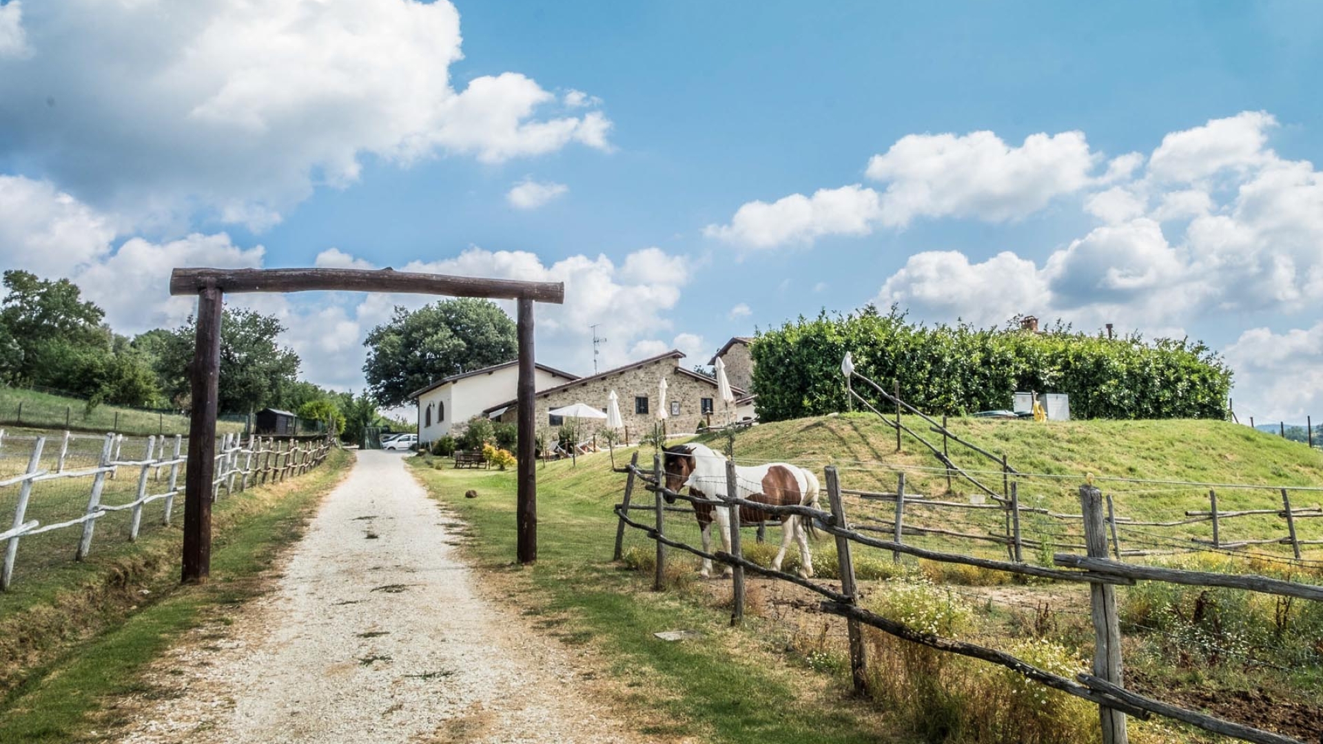 PODERI IN VENDITA - Casali con terreno in vendita