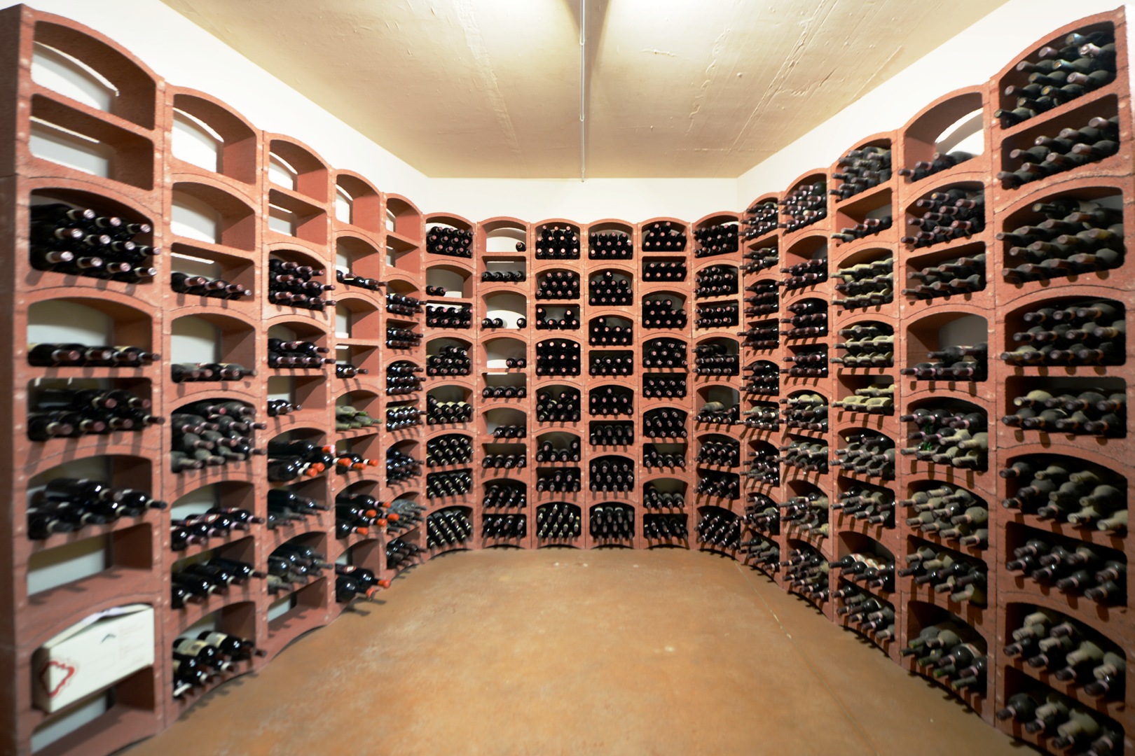 AZIENDA VITIVINICOLE CON CANTINA VIGNETO IN VENDITA - WINE COUNTRY/VINEYARD -