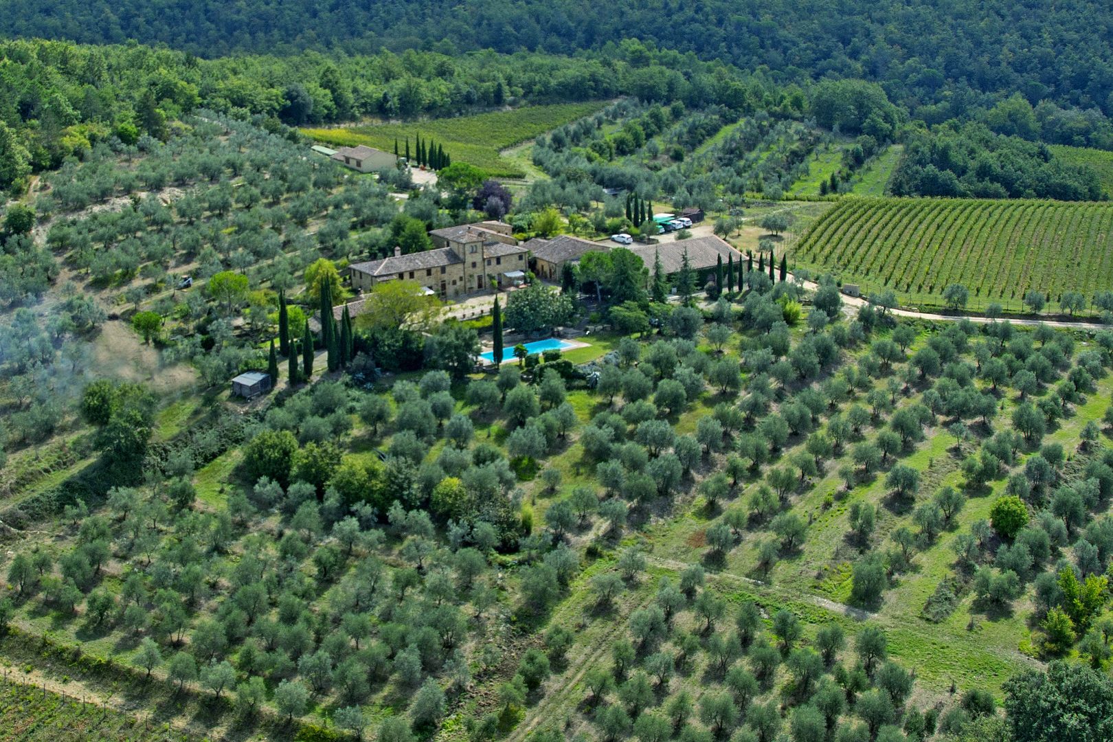 FATTORIE E TENUTE AGRICOLE BIOLOGICHE IN VENDITA