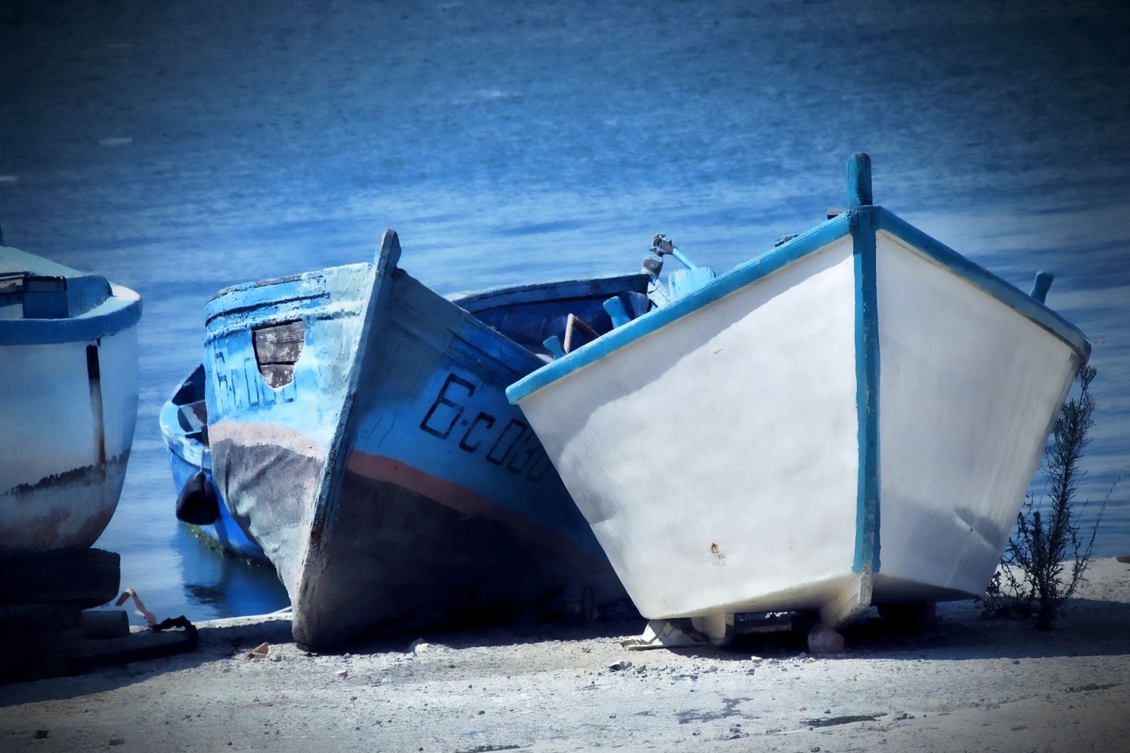 FISHING - VENDITA VILLE AL MARE E CASE SUL LAGO, IDEALI PER APPASSIONATI DI PESCA