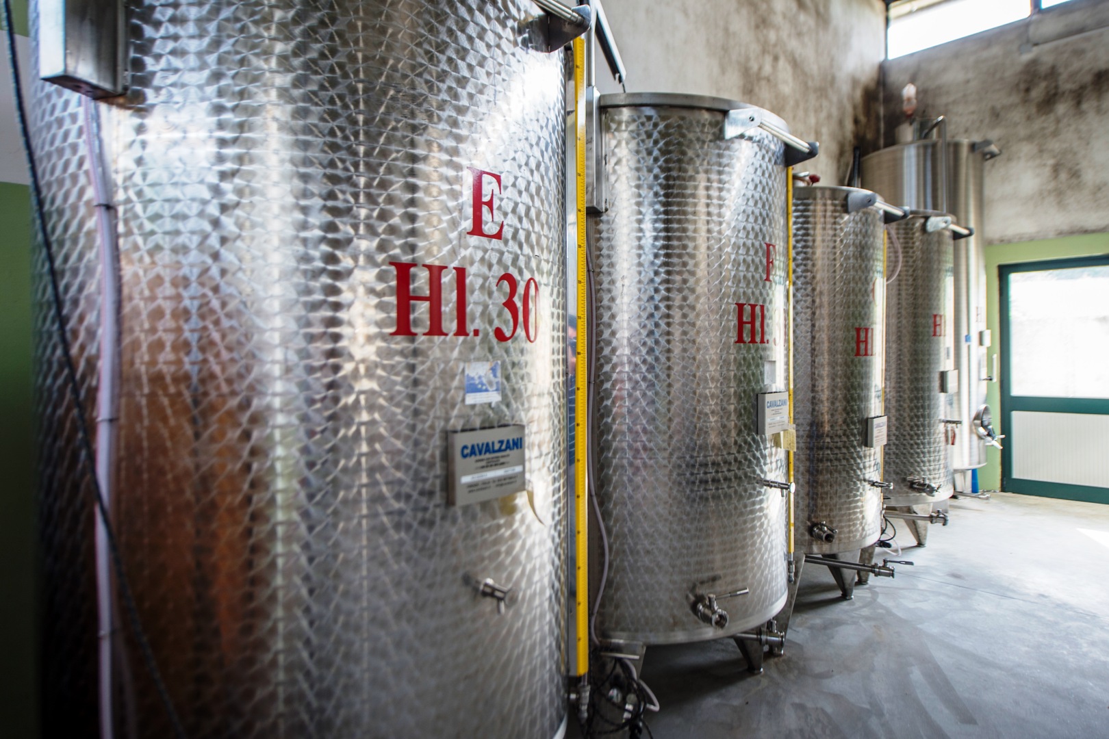 AZIENDA VITIVINICOLE CON CANTINA VIGNETO IN VENDITA - WINE COUNTRY/VINEYARD -