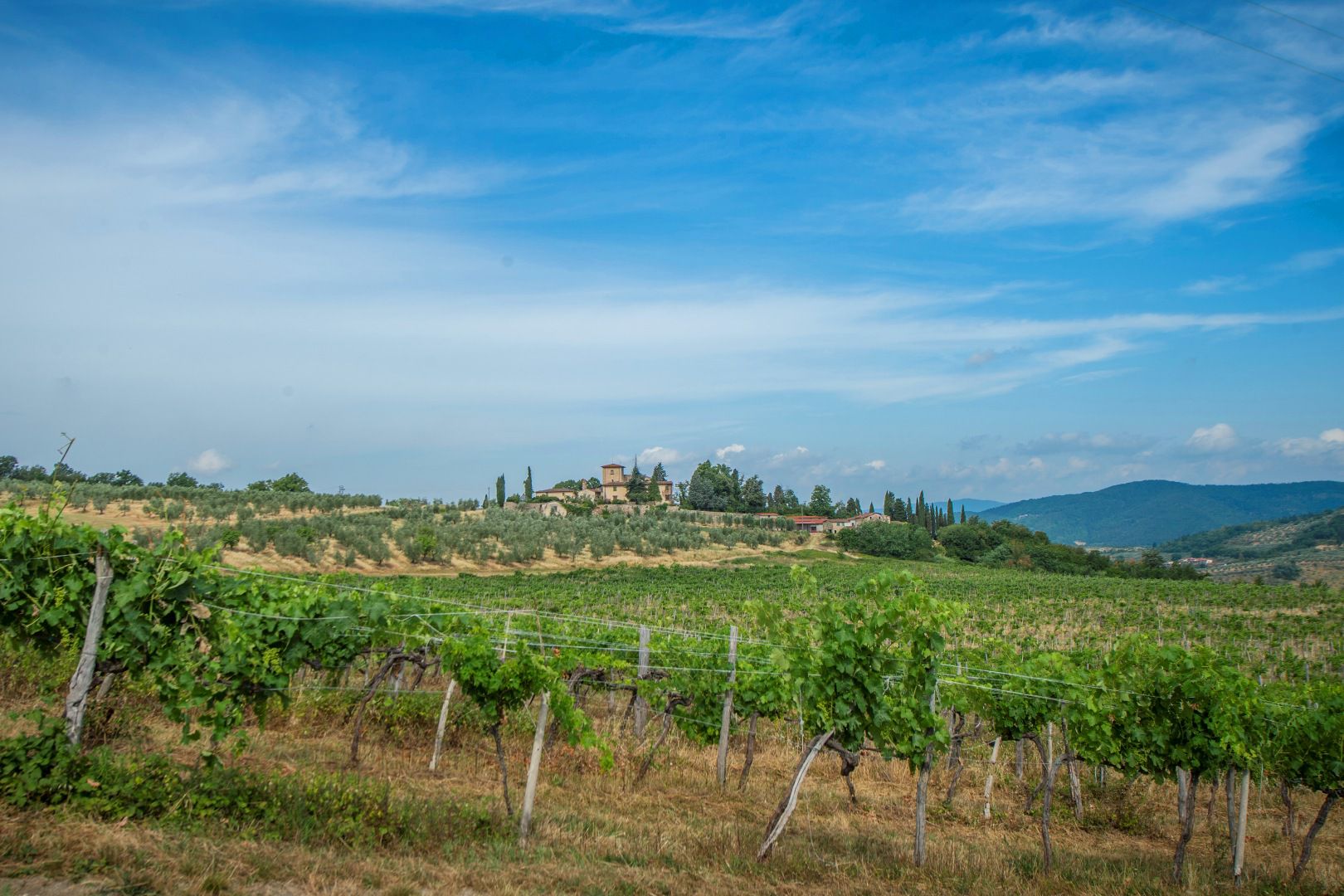 FATTORIE E TENUTE AGRICOLE BIOLOGICHE IN VENDITA
