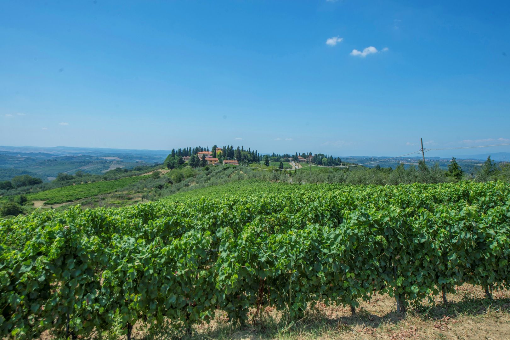 FATTORIE E TENUTE AGRICOLE BIOLOGICHE IN VENDITA