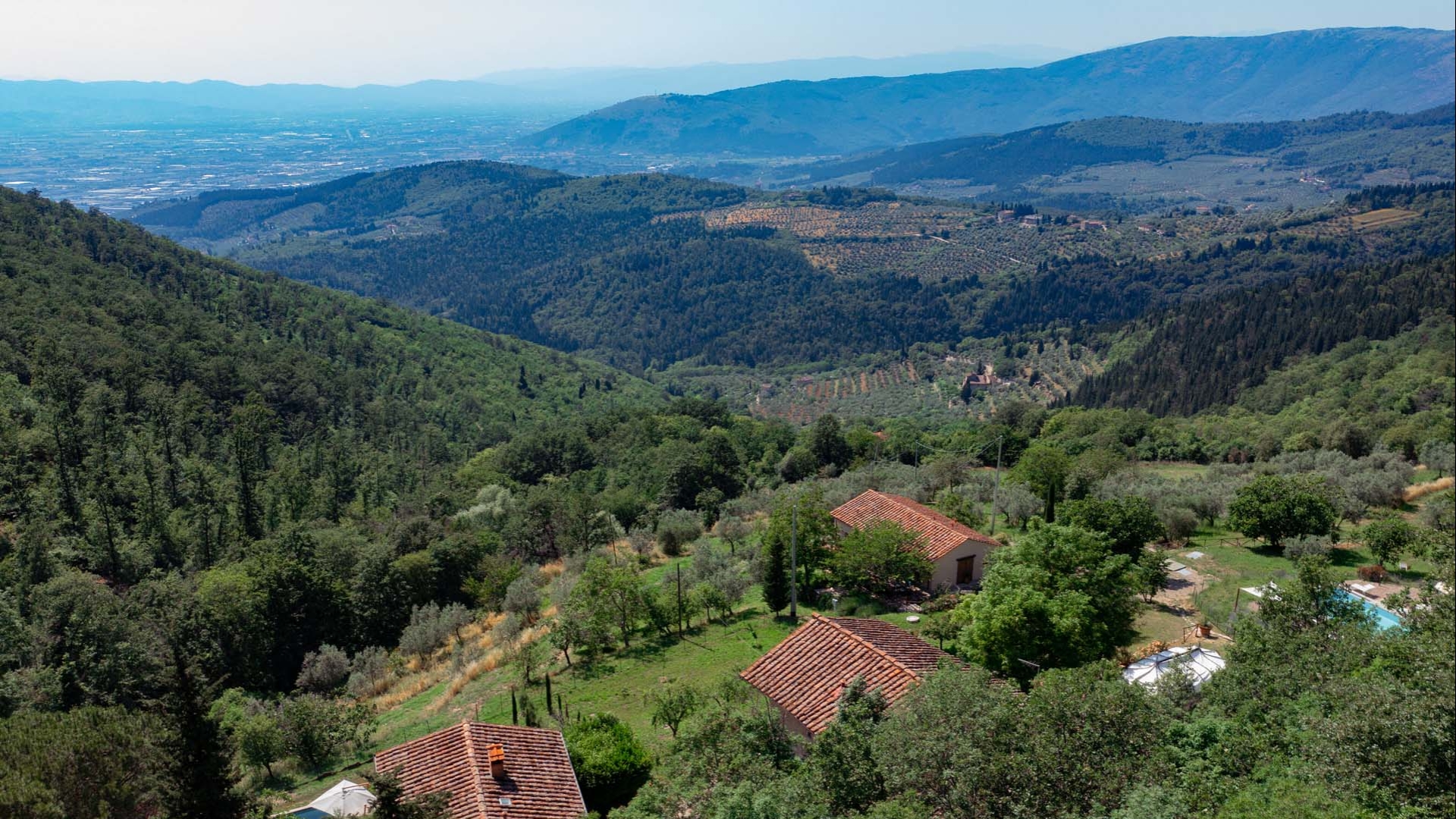 VILLE DI LUSSO, CASALI E AZIENDE VITIVINICOLE IN VENDITA A FIRENZE, TOSCANA