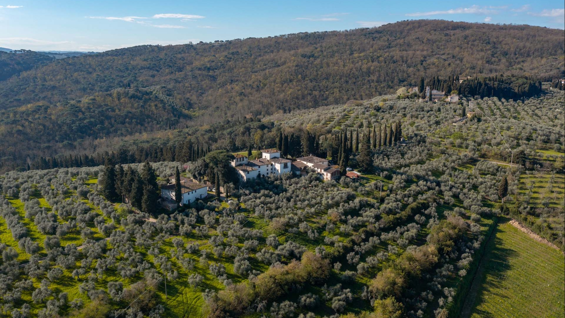 VILLE DI LUSSO, CASALI E AZIENDE VITIVINICOLE IN VENDITA A FIRENZE, TOSCANA